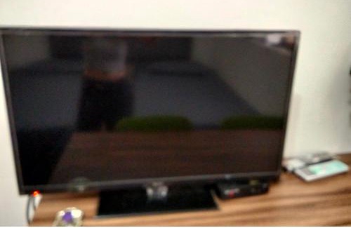 Tamsui House | 香柏樹