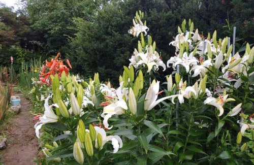 Yeongju House | 소백산스테이