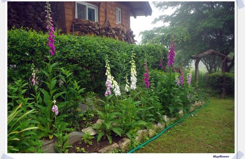 Eumseong House | 숲속 작은 황토집