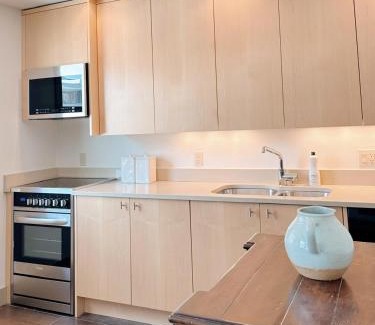 Civic Center Apartment | 1 bed apartment with parking - Denver Museum District Walk to Convention Center, Capital, museums and shops