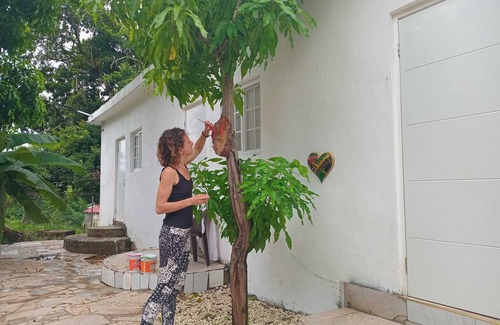 Mango Walk Apartment | 1 Bed in Shared Dorm - Backpackers Hoatel Montego Bay AC, Fan & hot water