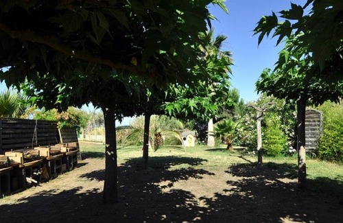 Sagone Apartment | 1 Bedroom Apartment in SAGONE