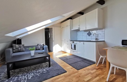 Innerstaden Apartment | 1 room apartment centrally located in Malmö - Skvadronsgatan 31 1501