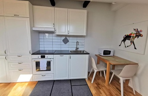 Innerstaden Apartment | 1 room apartment centrally located in Malmö - Skvadronsgatan 31 1501