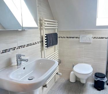 Oedheim Apartment | 1 Zimmer Wohnung DG mit Klimaanlage und kleinen Balkon