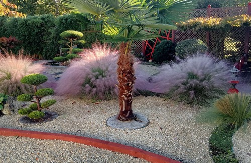 Saint-Medard-de-Guizieres House | 10 minutes from St Emilion! A break somewhere in the garden of maple and niwakin