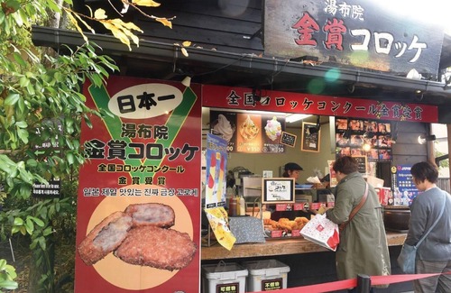 Yufuin Onsen Hotel | 100 freeflowing openair hot spring bath Separ/Yufu Ōita