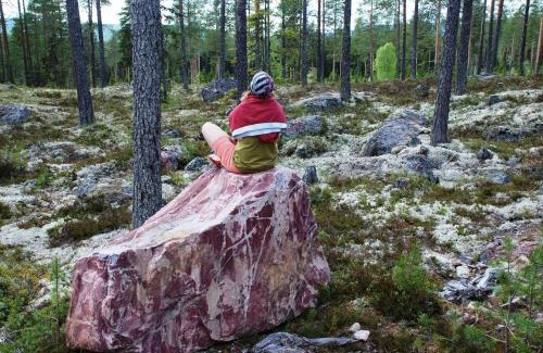 Ljordal House | 14 - Fulufjellets nasjonalparker - snø - alpint - langrenn - snøscooter