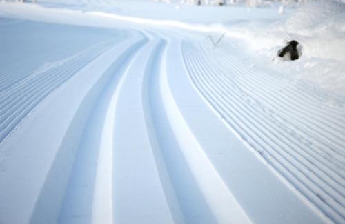 Ljordal House | 14 - Fulufjellets nasjonalparker - snø - alpint - langrenn - snøscooter