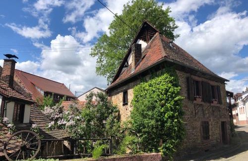 Grotzingen Apartment | 1463 Apartmenthaus