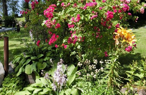 Sjotorp House | 2 bedroom accommodation in Sjötorp