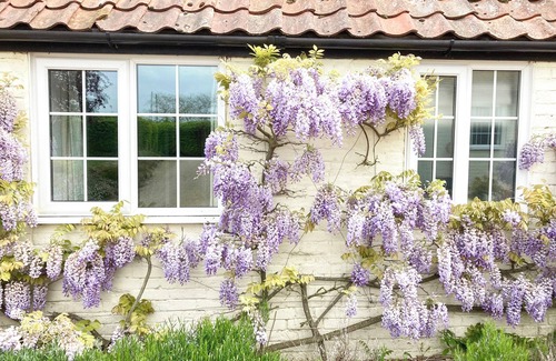 Sudbourne Cottage | 2 bedroom accommodation in Sudbourne, near Orford