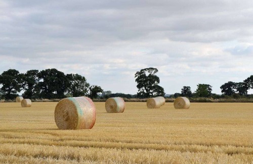 Irstead Cottage | 2 bedroom accommodation in Beighton, near Acle