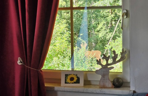 Hoefen Apartment | 2 comfort apartments TIROL, quiet UNCONVERTED forest location, LIVING ROOM, no pets