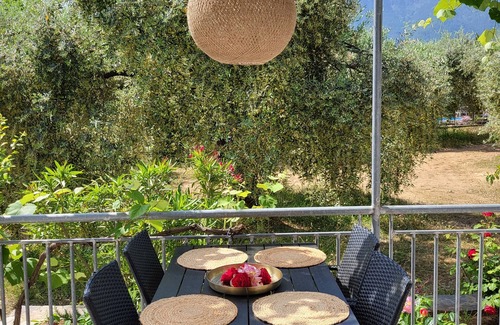 Skala Potamias House | 2 cozy cottages idyllic in the olive grove
