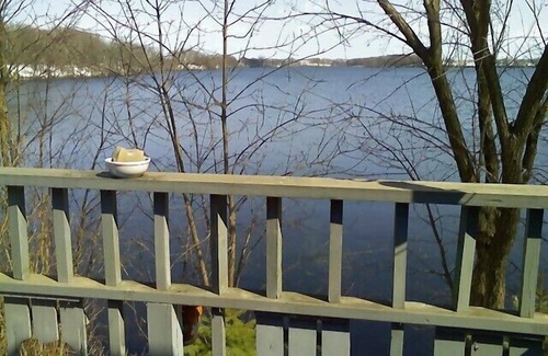 Elk Lake House | 2 Lakes! Pontoon available and Dogs welcome. 335' Lakeshore By Alexandria