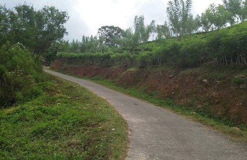 Ella Villa | 2 luxurious room,2 clay House, 9 bed larger room for group of family,20 tentnnn