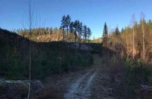 Rimforsa House | 2 person holiday home in RIMFORSA