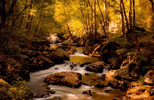 Lakemont House | 2 Primary Suites, GREAT location, High Speed Wifi