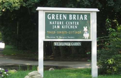 Sagamore Beach House | 203 Phillips Rd - New Listing!