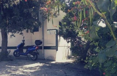 Petrcane Apartment | 24 m² Studio flat ∙ 1 bedroom ∙ 2 guests