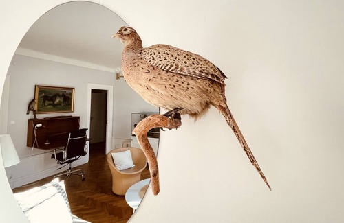 Vasastan Apartment | 2IN1 perfect for 2 COUPLES or a big family. Safe area close to nature and center