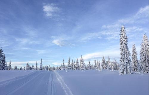 Sjusjoen House | 3 Bedroom Gorgeous Home In Sjusjøen