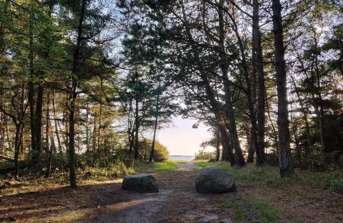 Sjaelborg House | 3 person holiday home in Esbjerg V-By Traum