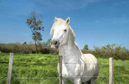 L'Ile-Rousse Apartment | 38 m² Apartment ∙ 1 bedroom ∙ 4 guests