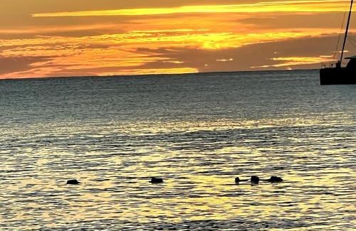 Jolly Harbour Villa | 4 Guests - Stunning View - Pool - South Finger