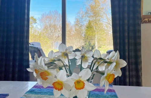 Granna House | 4 person holiday home in GRÄNNA-By Traum