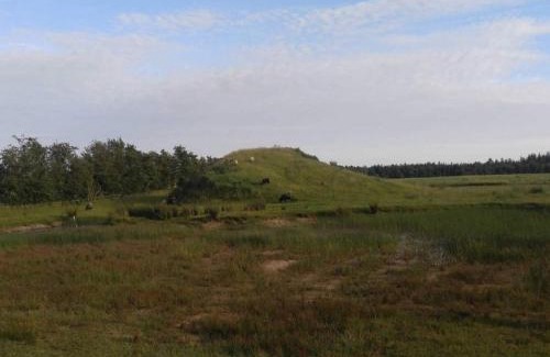 Ansager House | 4 person holiday home in Ansager