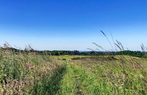 Faldsled House | 4 person holiday home in Millinge-By Traum