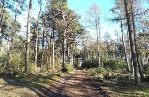 Gedser House | 4 person holiday home in Gedser