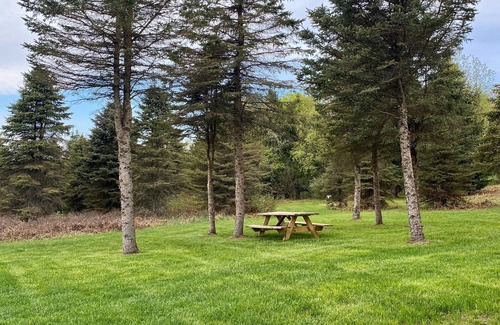 Luther RV Rental | 4 Private RV Campsites surrounded by "Knotty Pines", Minutes from ORV Trails.