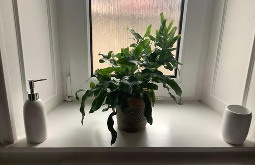 Rothes Apartment | 4 Stills Apartment