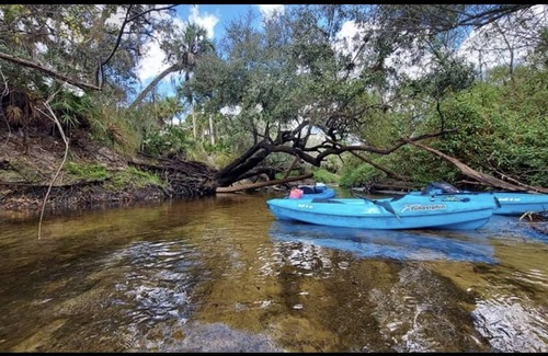 Arcadia House | 40' park model on the creek