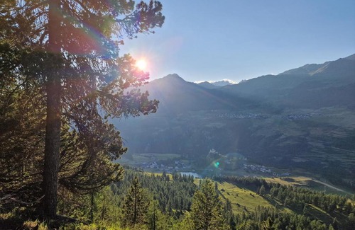 Vulpera Apartment | 4303 Gemuetliches Studio mit schoener Aussicht