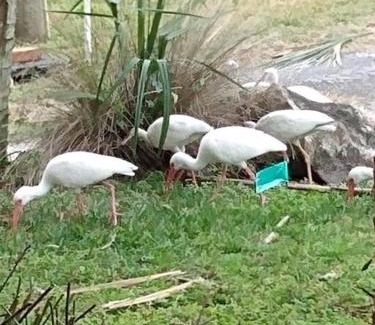 Hudson House | 4BR Private Dock, Warm Spring Canal, Kayaks, Canoe