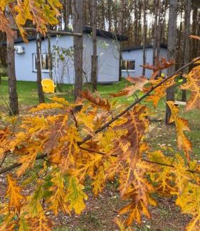 gmina Zytno House | 4REST