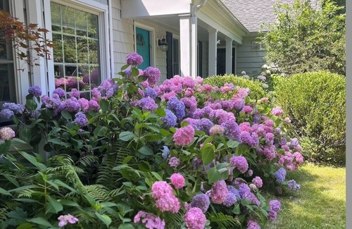 Lakeville House | 5-bedroom house with gunite pool on 2 acres. Hot tub and wood burning fire place