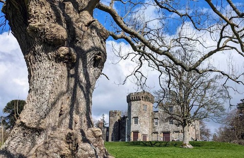 Alexandria Apartment | 5 minutes from Loch Lomond. Newly Renovated 1 Bed Ground Floor Flat.