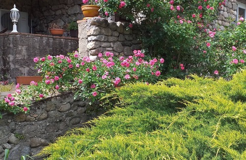 Lasalle Apartment | 5-person gîte in a sought-after Cévennes village