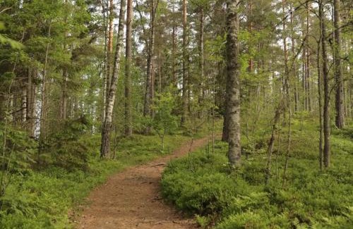 Tenhult House | 5 person holiday home in TENHULT JÖNKÖPING