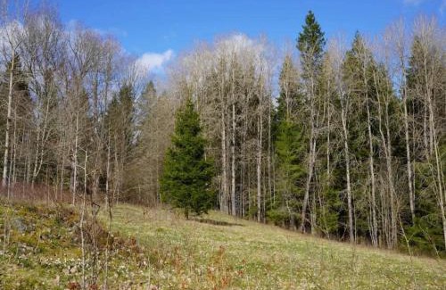 Tenhult House | 5 person holiday home in TENHULT JÖNKÖPING