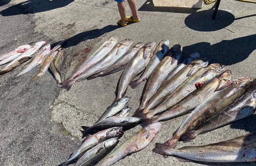 Nautnes Apartment | 5 person holiday home in Tjeldstø