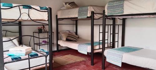 Silvania House | 5ta SARoCO Hacienda Biocultural y Agroecoturistica