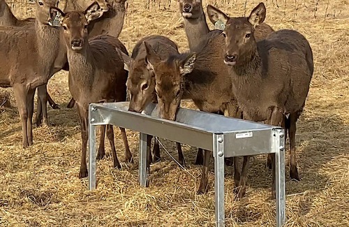 Kippen Cottage | 6 bedroom accommodation in Callander