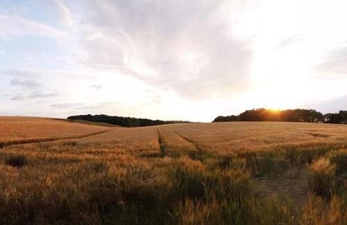 Hejlsminde Strand House | 6 person holiday home in Hejls