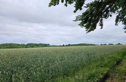 Hejlsminde Strand House | 6 person holiday home in Hejls